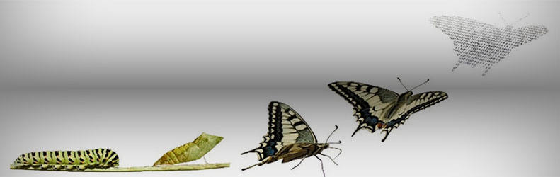 تحول دیجیتال